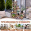 Aranea Plant Stand