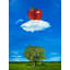 An Apple A Day Print by Tom Blood