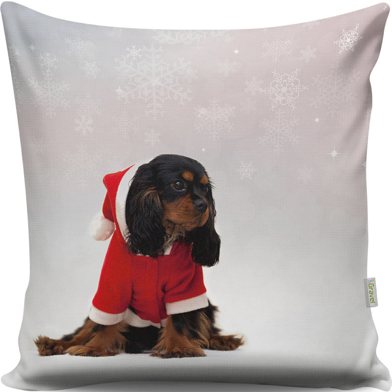 Coussin lavable de qualité supérieure, 17,0 x 17,0 pouces, 50% coton / 50% polyester, rembourrage en silicone, fermeture à glissière dissimulée | Doux, confortable et repassable | Parfait pour la décoration intérieure, le salon et la chambre à cou