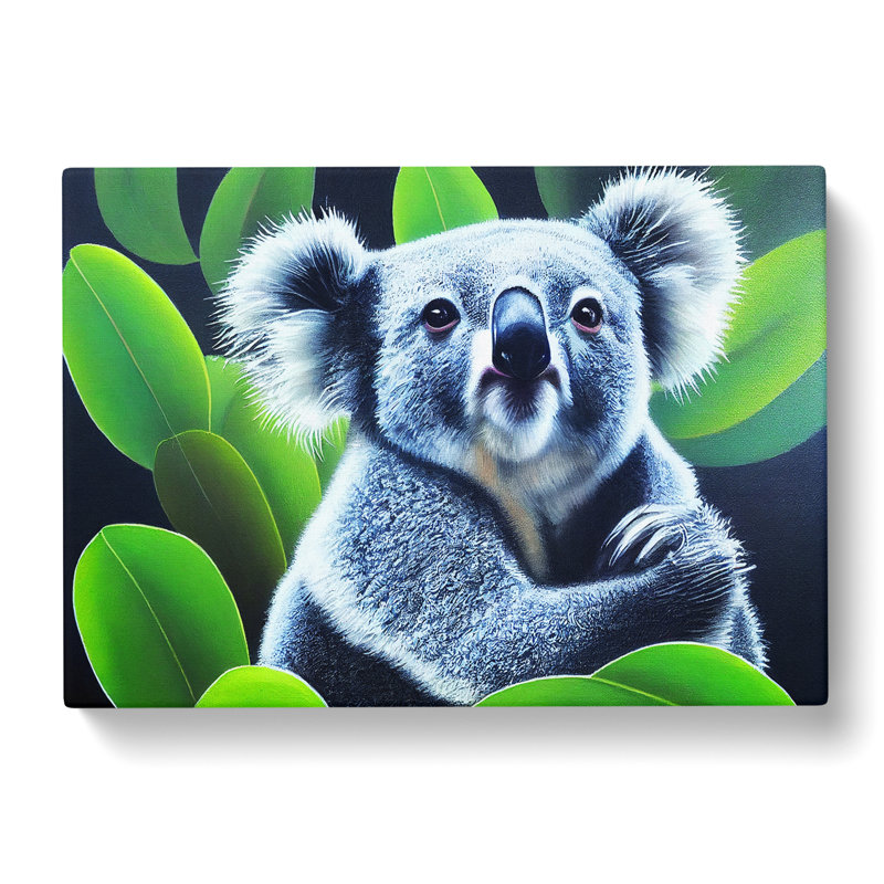 Koala Bear Art Vol.1 - Wrapped Canvas, 50cm H x 76cm W x 3cm D