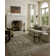 Loloi Clarisse Olive / Multi Area Rug