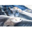 Anne Stokes Duvet Cover Set