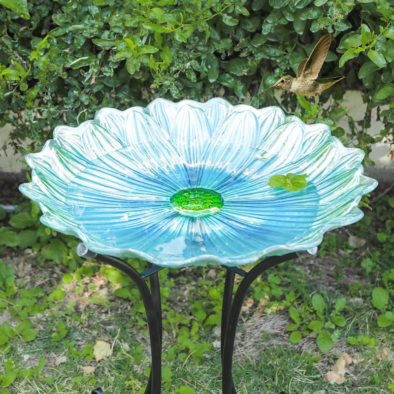 Bain d'oiseaux / mangeoire en verre à motifs floraux avec support en métal