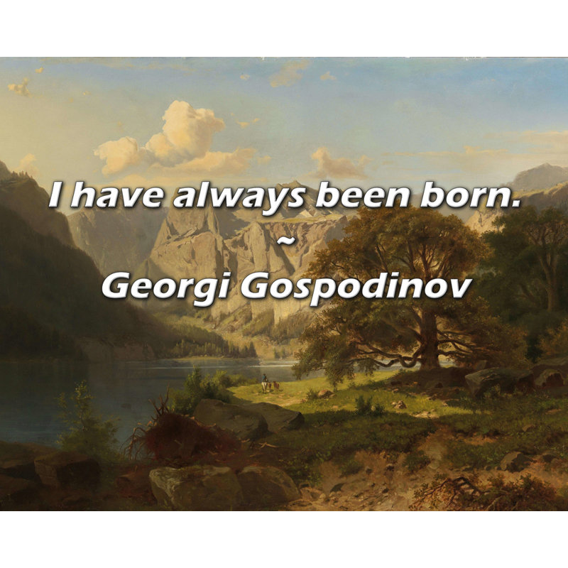 Citation de Georgi Gospodinov: Je suis toujours né., H 26 po x l 32 po
