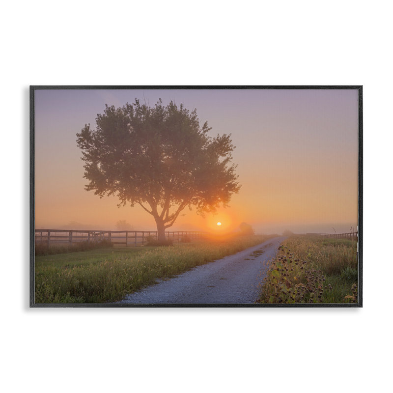 Art giclée sur un sentier fleuri par Marty Hulsebos, Giclée encadrée noir minuit, H 16 po x l 24 po
