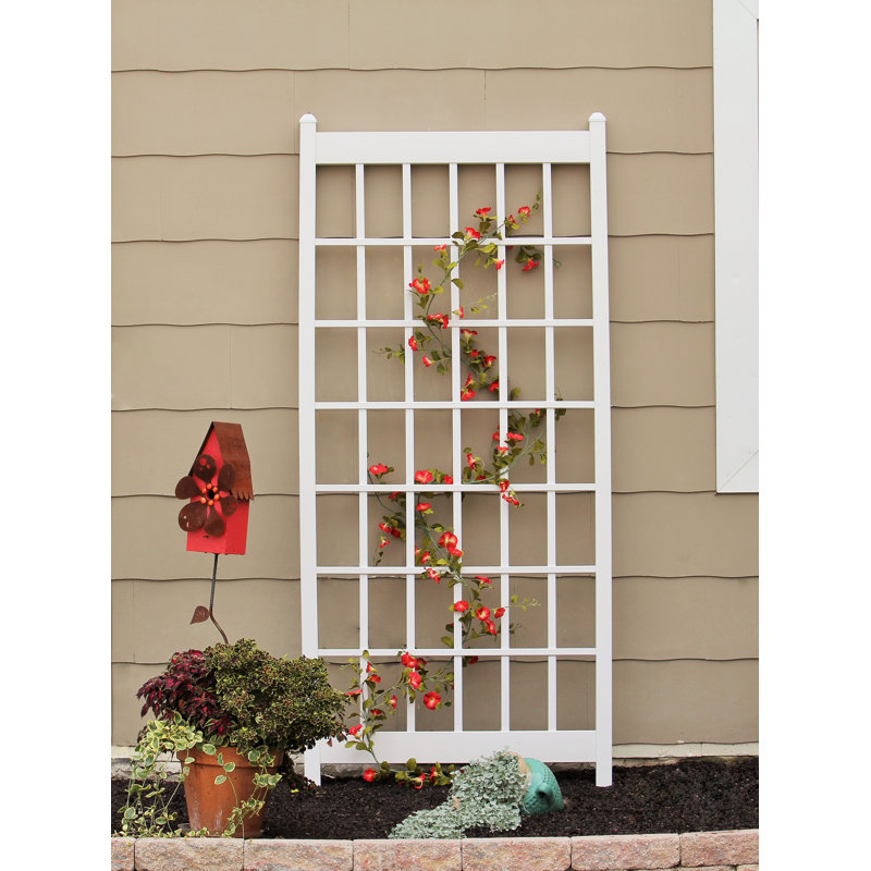 Kenesha 85'' H x 38'' W Vinyl Lattice Panel Trellis, White