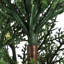 Plant-172672108-172672110