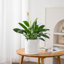 FLHPOT Ceramic Indoor Pot Planter-1247219471