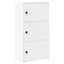 Shanetra 40cm W Bookcase-573105946-573105956