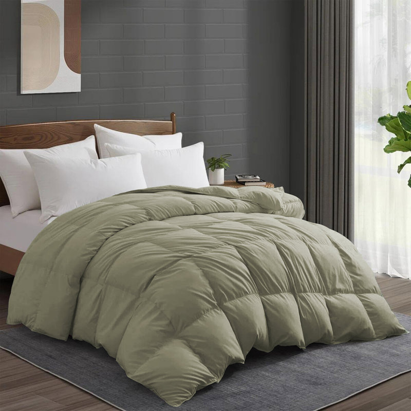 Premium All Season Down Feather Fiber Comforter Duvet Insert, Queen, Sage