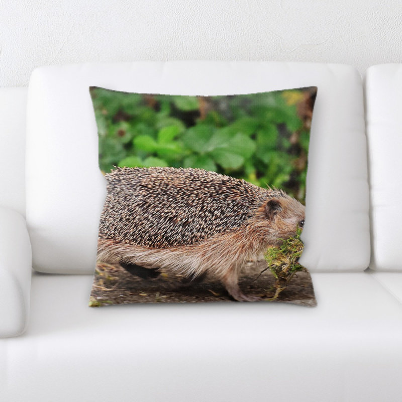 Coussin hedgehog