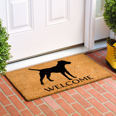 Non-Slip Indoor Doormat
