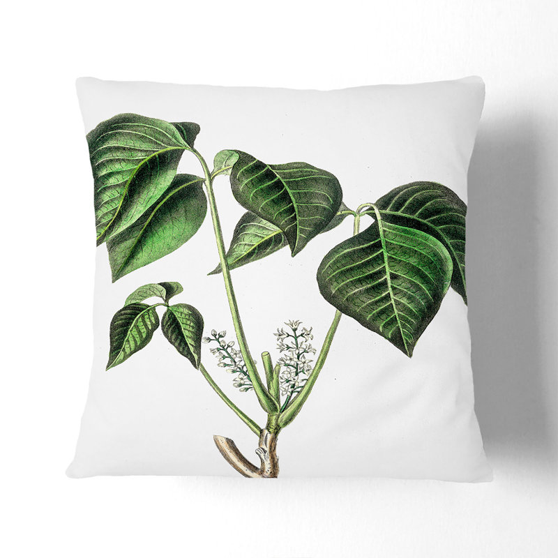 Square Throw Cushion, 55cm H x 55cm W x 20cm D