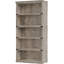 Bookcase-649424286-649417317