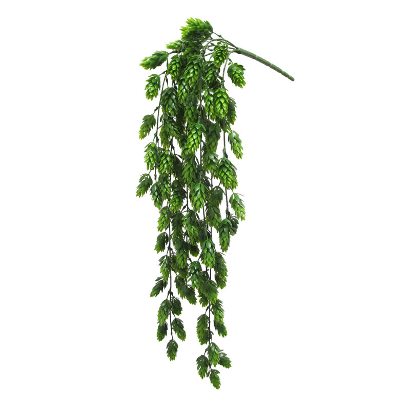 Plante à suspendre 30 po