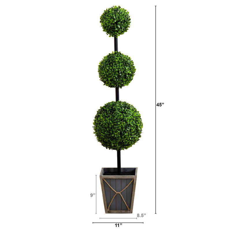 Plante de 45 po