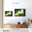 Spa Canvas Print-102354223