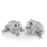 Garden Friends Salt And Pepper Shaker Set