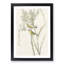Prairie Warbler Birds by John Audubon - Picture Frame Painting Print-55601780-55601781