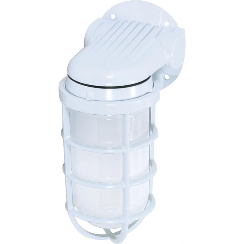 Lanterne murale d'extérieur en verre givré Tressa, Blanc, H 11 po x l 5,5 po x P 6 po