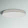 Warrenton LED Flush Mount