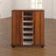 Multimedia Cabinet-965466643