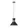Bartruff 1 - Light Single Pendant