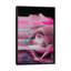 « rosa rosae », impression sur toile-33355296-72399031-72399032
