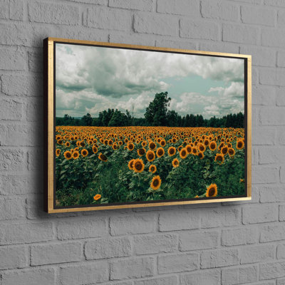 Print on Canvas