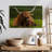 Highland Cow On Grass-107672902