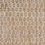 Dorset Oriental Area Rug in Beige-216481981
