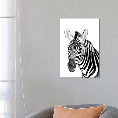 Safari Zebra 1 Piece Wrapped Canvas Wall Art