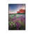 White Framed Canvas