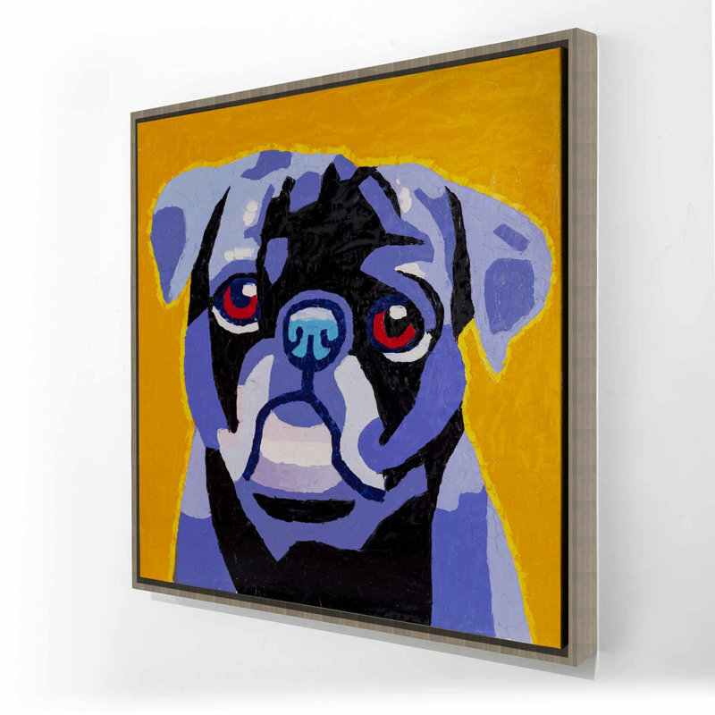Flash the carlin - Chien