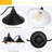 Konieczny 2 - Light Vanity Light
