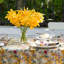 6 Organic Linen Napkins in Saint Valentine