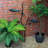 Tuveson Metal Tiered Birdbath