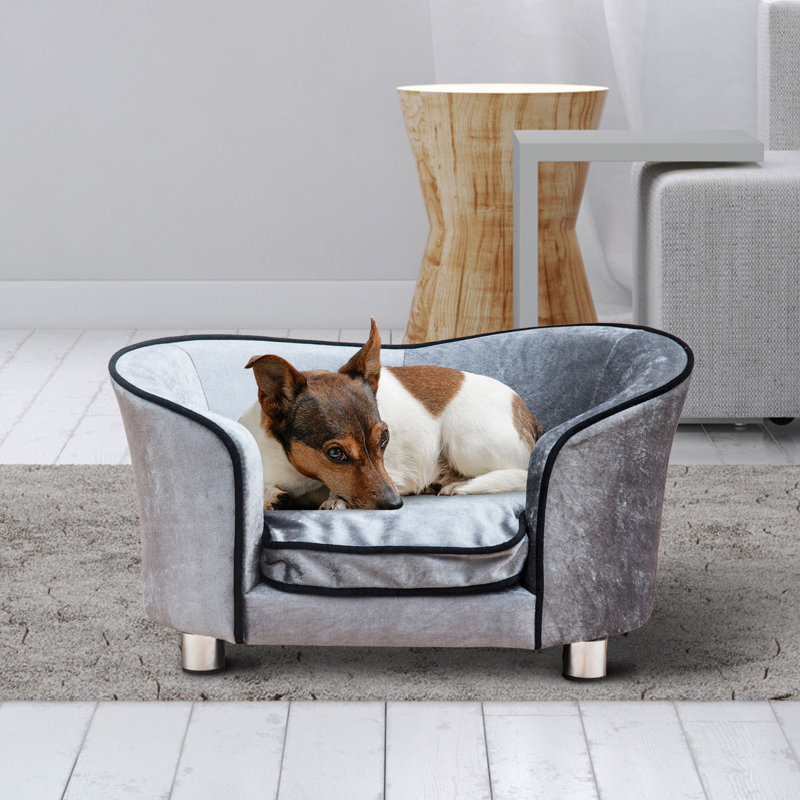 Earlene Dog Sofa in Light Grey
