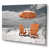 Toile tendue