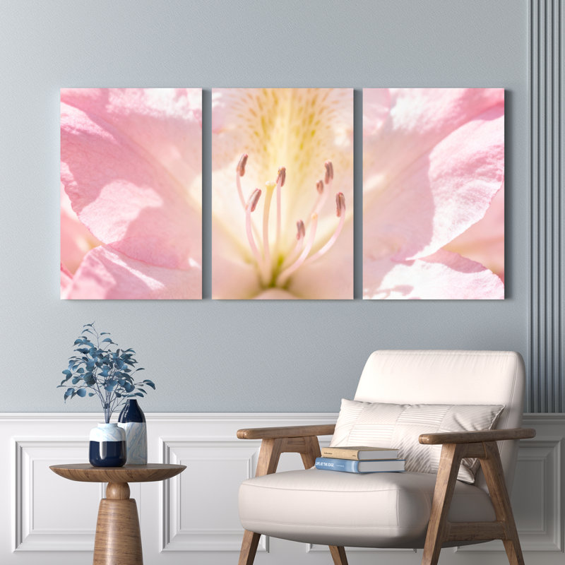 Ensemble de 3 tableaux sur toile tendue représentant des fleurs roses en gros plan, pour la décoration du salon et de la chambre.