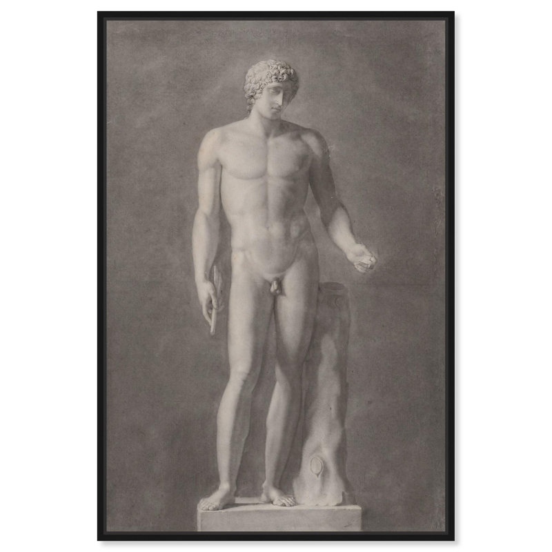 Adonis, toile classique par Art Remedy, H 16 po x l 11 po x P 1,2 po, Cadre noir