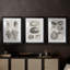 Charbon et coquilles de lin VII-530802097-530802099