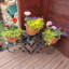 Altamont Iron Plant Stand 4 Tier Set of 2-1905372951