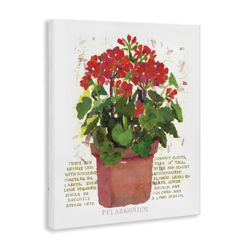 Art sur toile géranium rouge par Nancy Overton, H 20 po x l 16 po