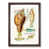 Walnut Framed