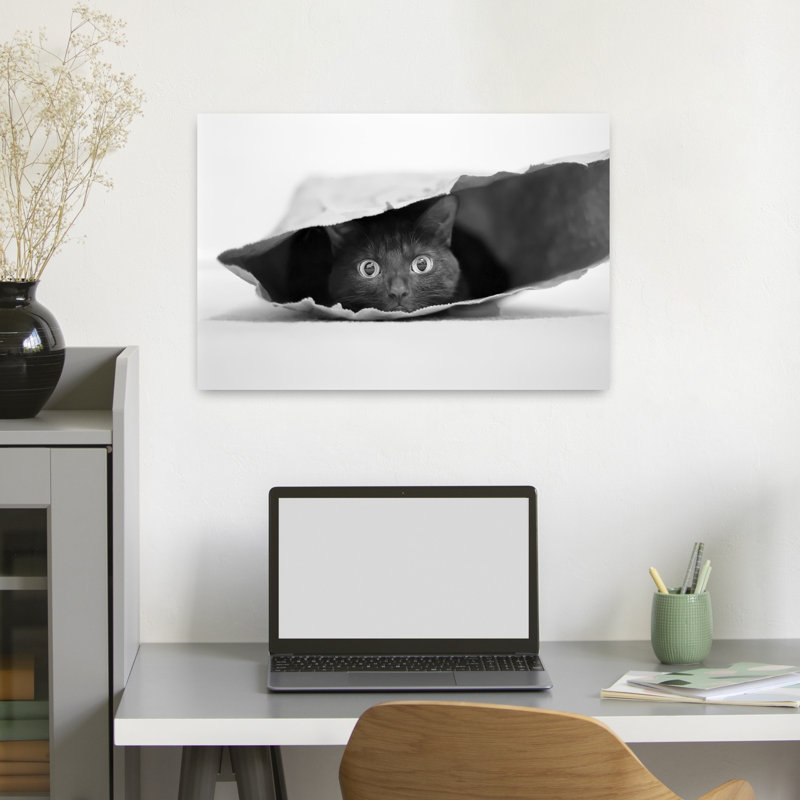 «Curious Black Cat», art mural contemporain, H 16 po x l 24 po