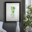 Mojito - peinture encadrée-1829629237-1829629236