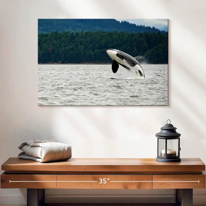 Crowle Orca Jumping