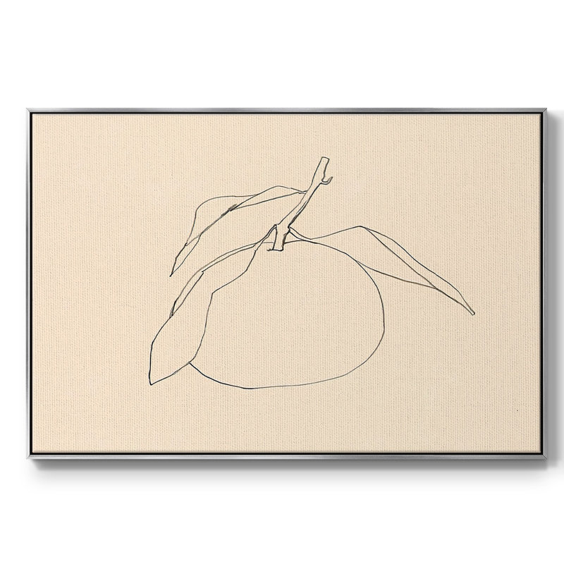 Citrus Contour I, reproduction d'art sur toile, H 17 po x l 25 po x P 2 po, Encadrement argenté