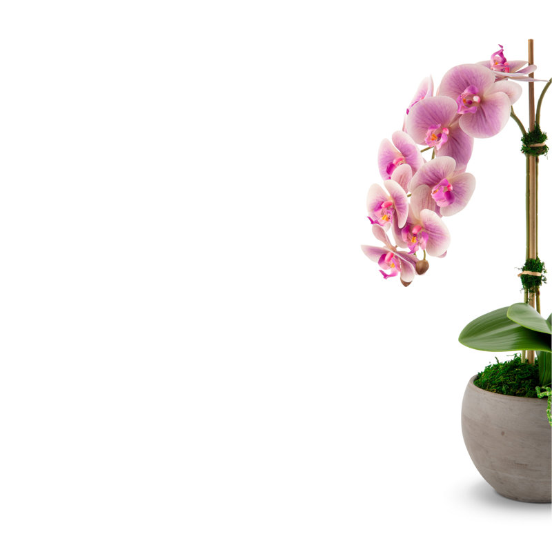 Arrangement Cassis RealTouch Orchid, Periwinkle